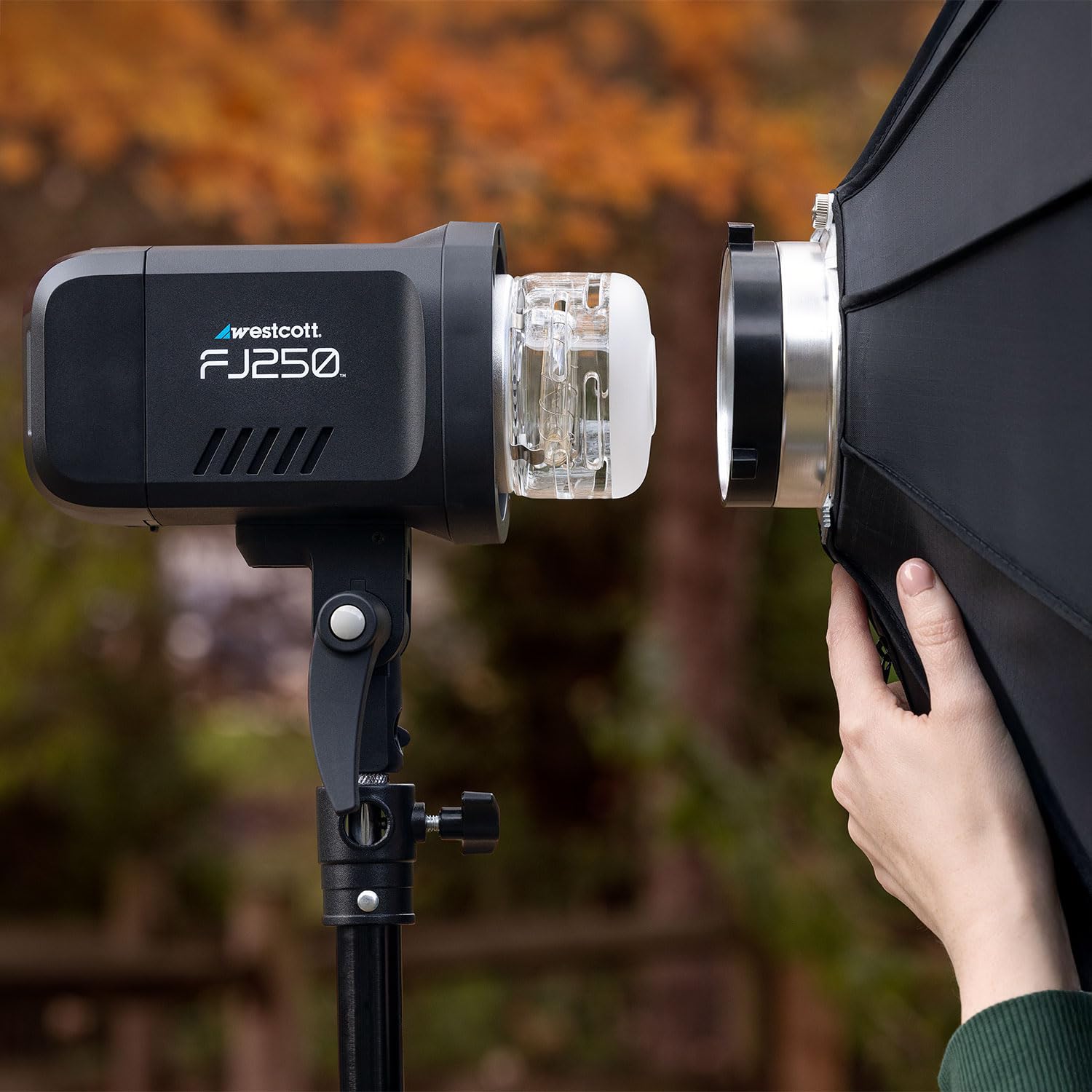 Westcott FJ250 Stroboskop-Touch-Display mit FJ Pro AC/DC (250 Ws) TTL HSS AC/DC Akku über 850 volle Leistungsblitze (US/AC-Stecker)