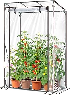 Ohuhu Gewächshaus klein Premium Foliengewächshaus Tomatengewächshaus für Balkon, Tomatenhaus Treibhaus Gewächshaus Balkon überwinterungszelt für Pflanzen, Stabil Winterfest PVC 100x50x152 cm