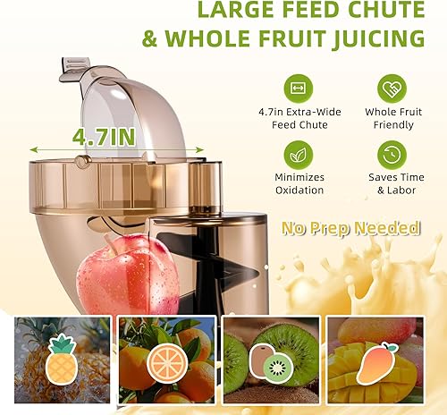 Miniatura 3 de Exprimidores comerciales de prensa en frío de 300 W, doble salida para jugo y pulpa, alto rendimiento, exprimidores de masticación, acero inoxidable