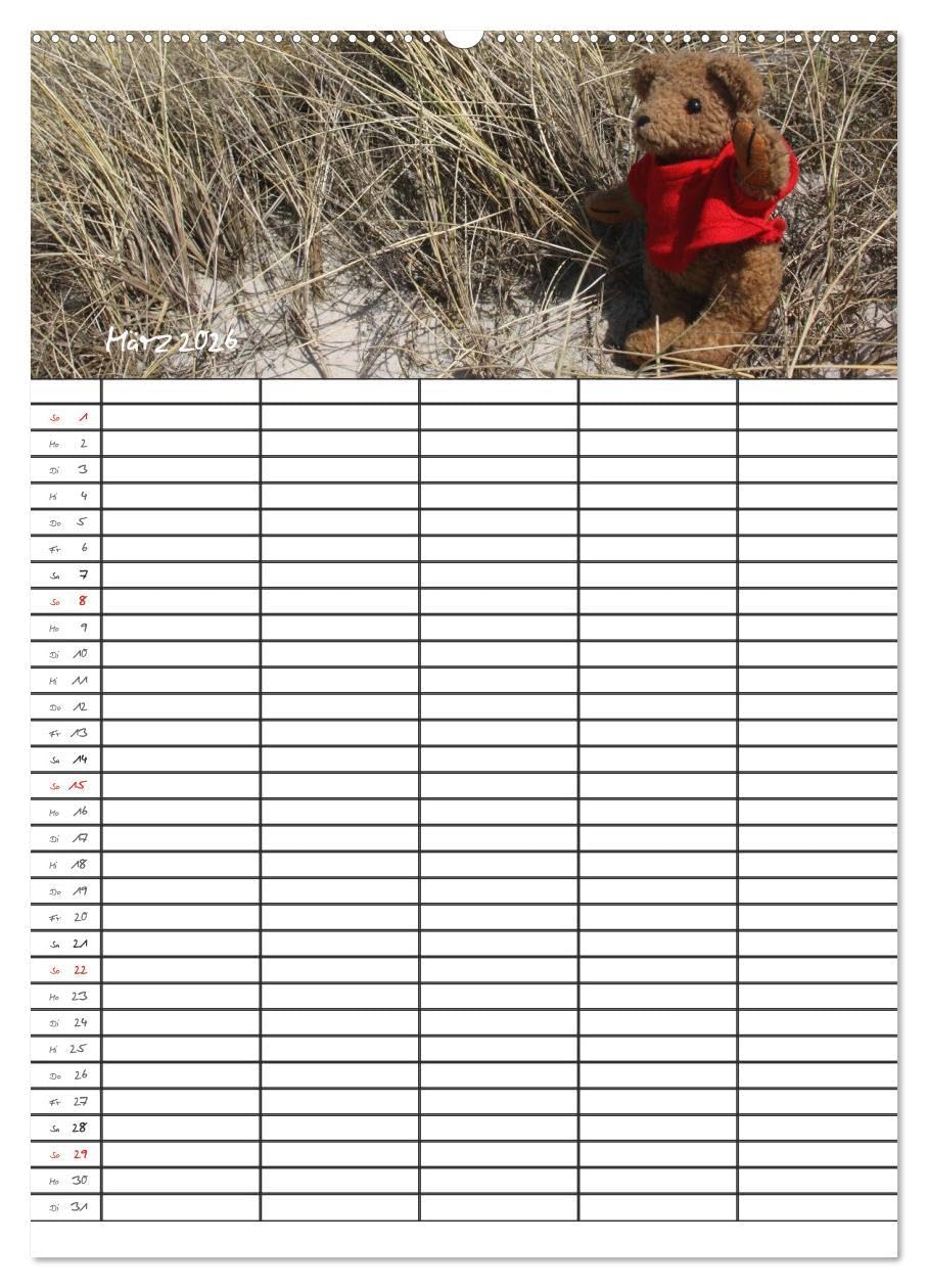 Der Teddybären-Familienplaner (hochwertiger Premium Wandkalender 2026 DIN A2 hoch), Kunstdruck in Hochglanz: Teddy KramBam und seine bärigen Freunde (CALVENDO Spass)
