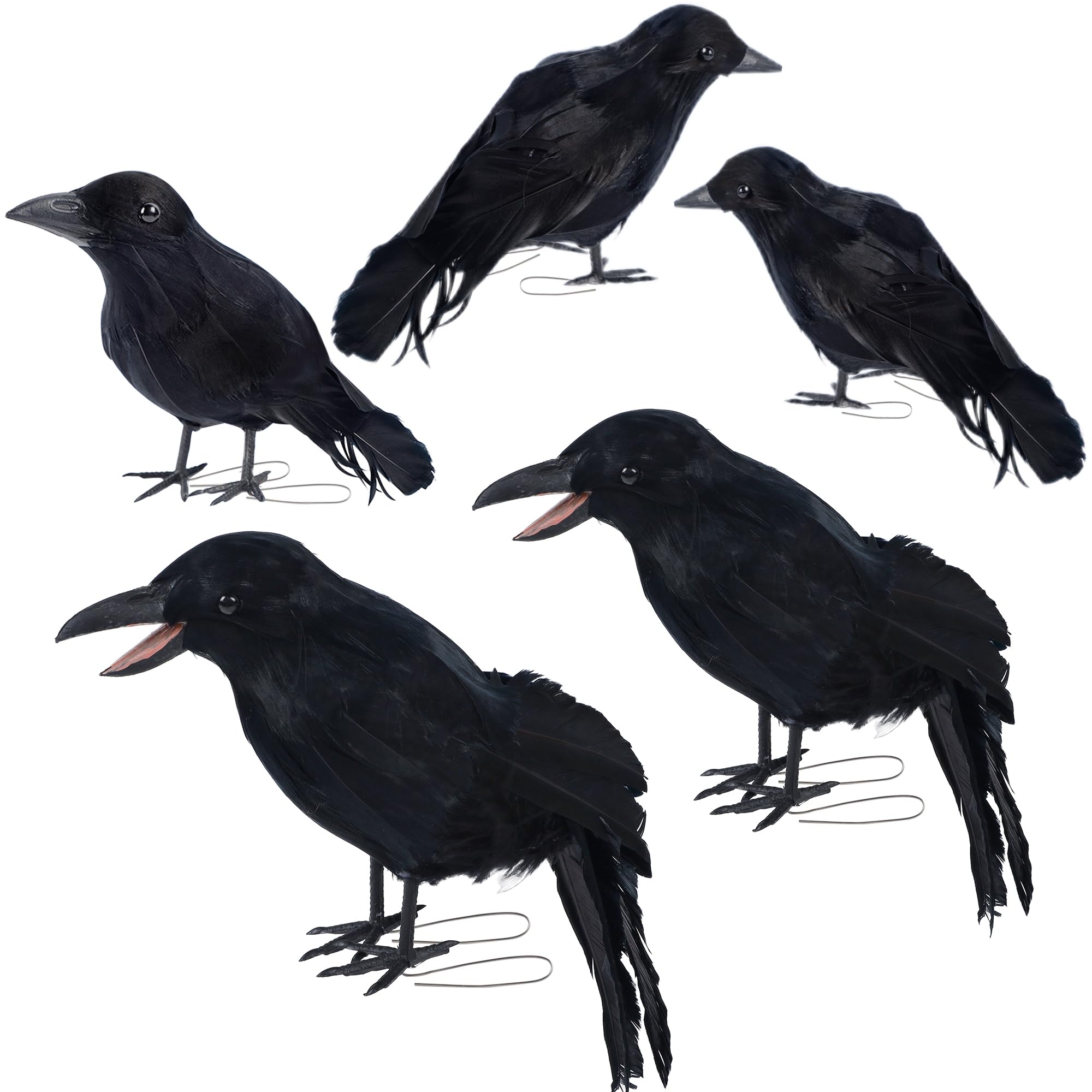 DR.DUDU 5 Pack Halloween Crows Decorations Fake Crow and Ravens