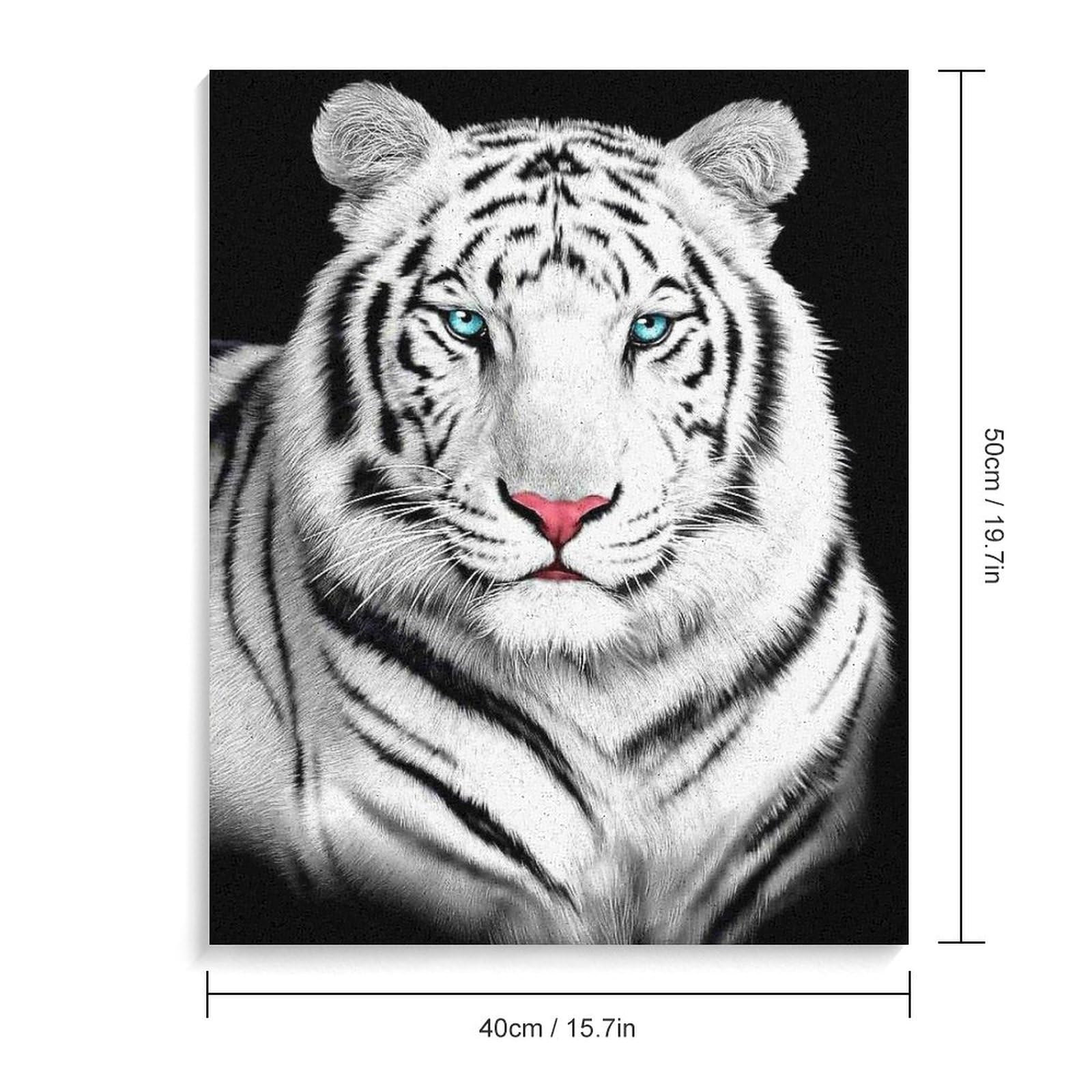 Amazon | ホワイトタイガーの壁紙 数字油絵 動物の肖像画 クローズ