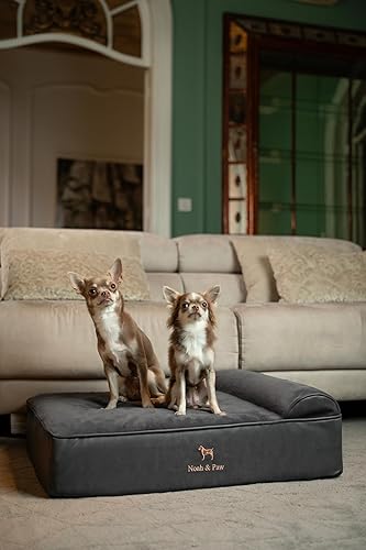 Miniatura 2 de NOAH & PAW Cama para perro, 28 x 23 x 11 pulgadas, camas ortopédicas para perros para mascotas de tamaño mediano, espuma viscoelástica de cáscara de
