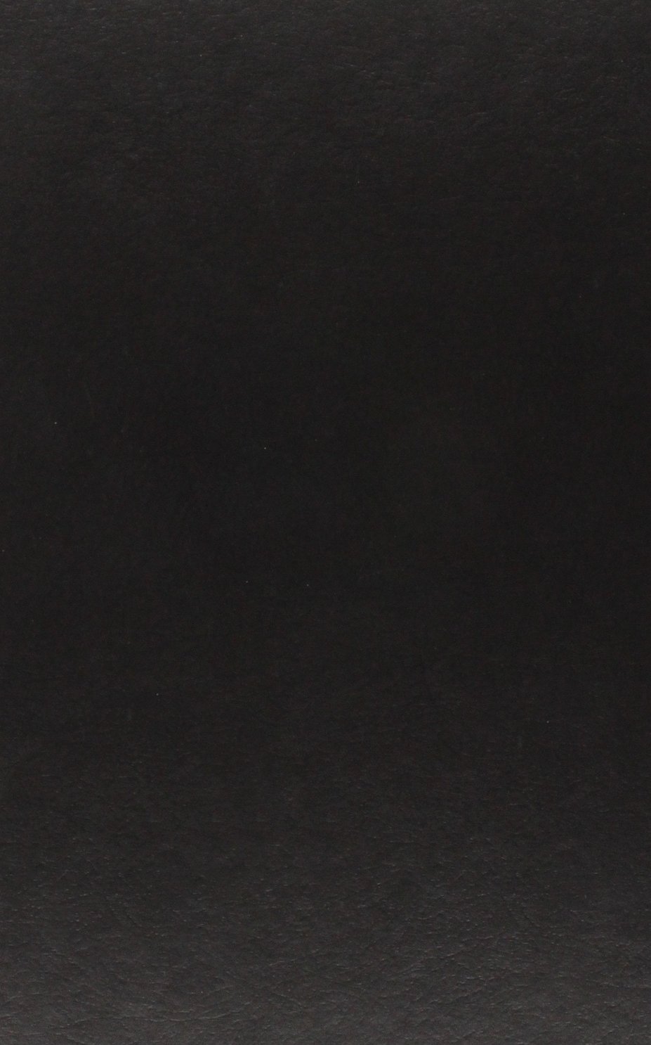 Ferdinand Tsnnies on Public Opinion: Selections and Analyses