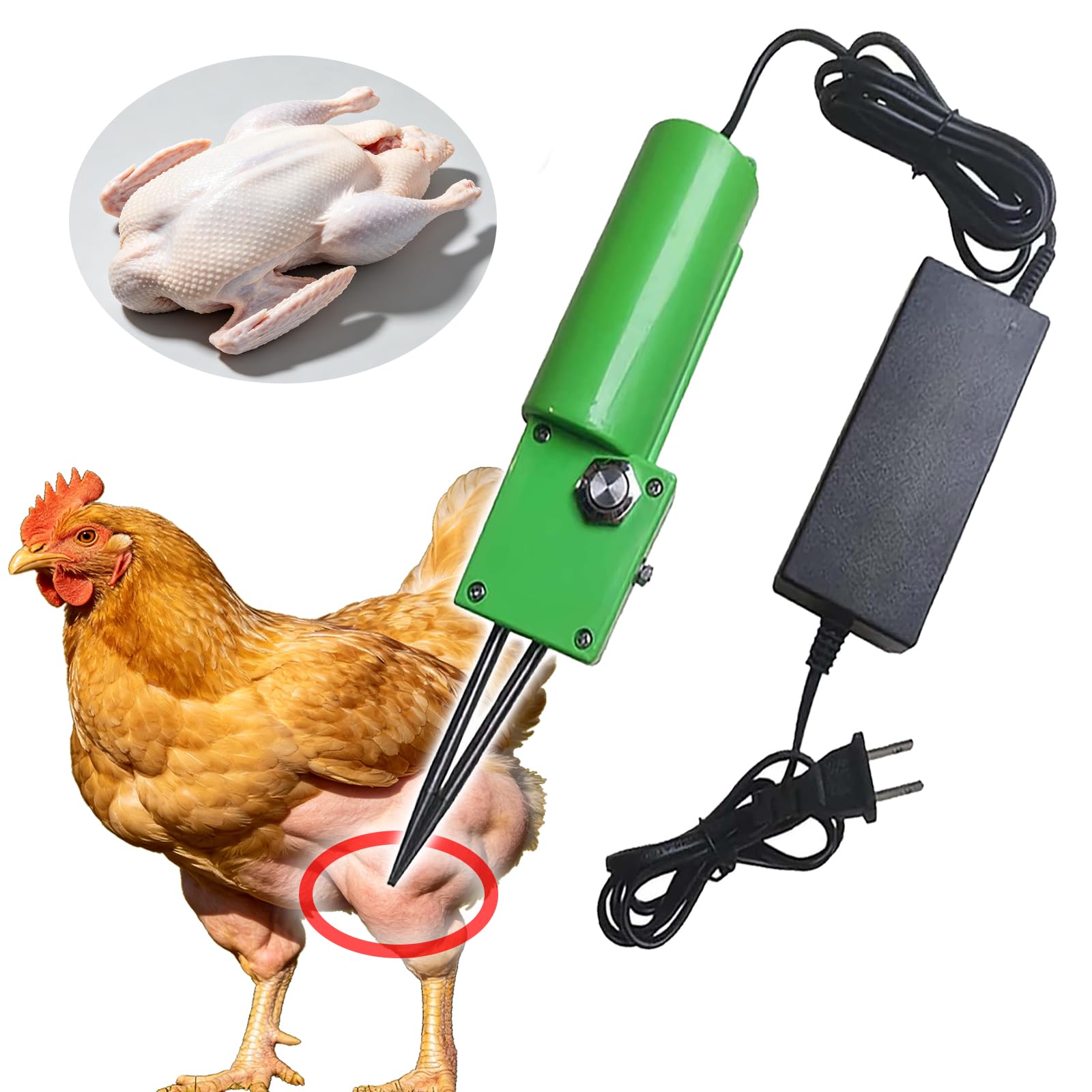 Spiumatrice Per Polli, Spennatrice Elettrica Per Pollo, Spennapolli Elettrico Portatile, Spennapolli Elettrica Per Polli, Per Pollo,Cono Acciaio Inossidabile