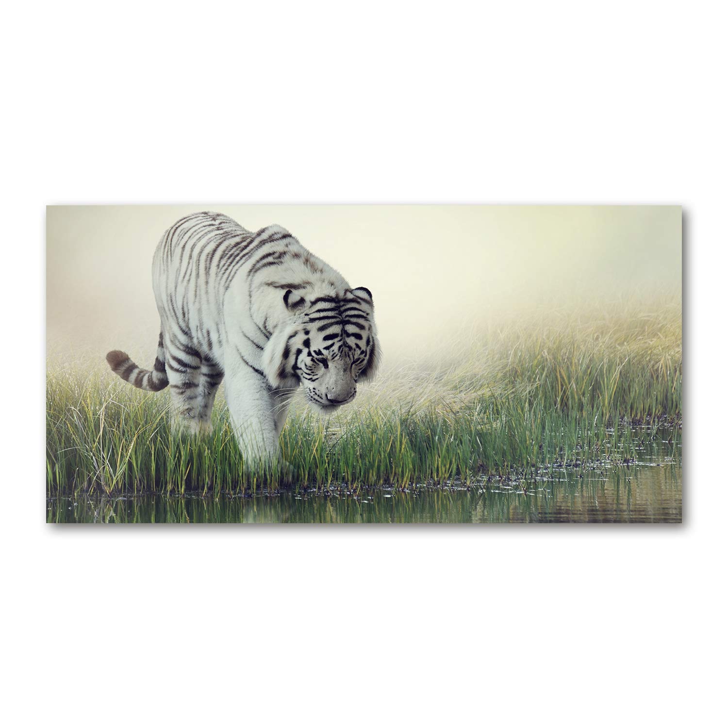 Art Image Verre Plastique Tigre Blanco Tulup Solution Déco Mural Grand Format 140x70cm