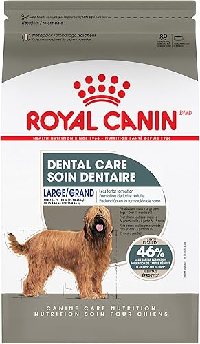 Royal Canin Alimento seco para perros grandes, bolsa de 30 libras