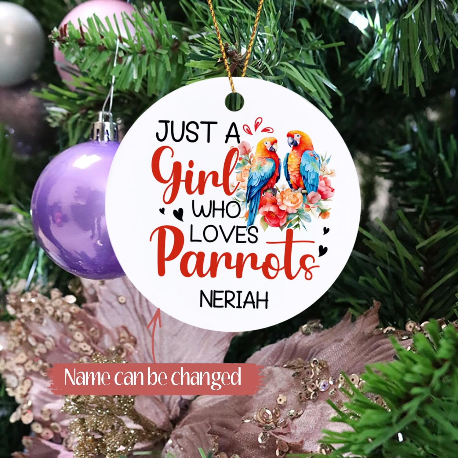 Animal Lover Ornament 2025, Personalized Just A Girl Who Loves Parrots Christmas Ornament Present, Floral Parrots Xmas Keepsake, Custom Name Parrot Lovers Gift, Customized Animal Lovers Ornament Gift