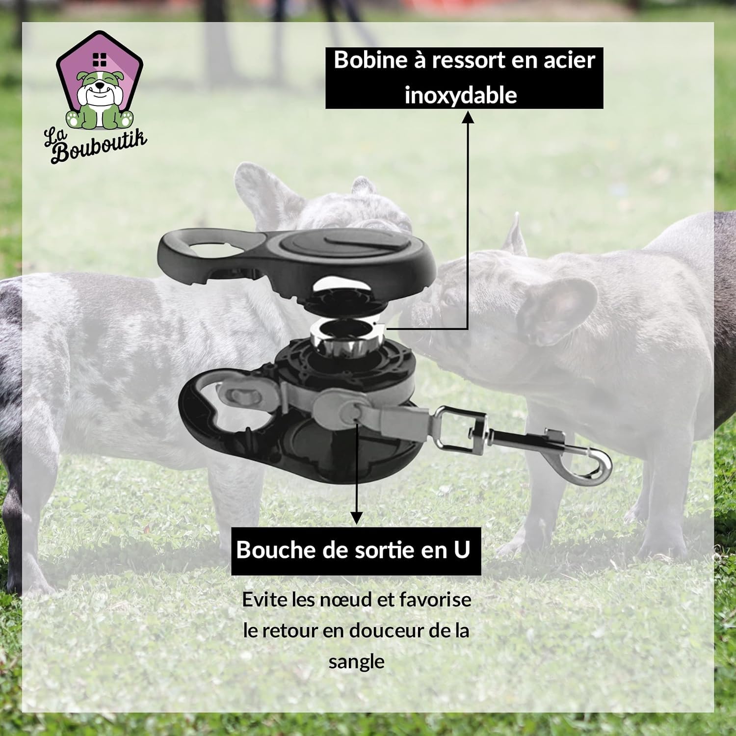 Correa enrollable de 8 metros, cinta de nailon extensible + botella + 2 cuencos retráctiles, dispensador de bolsas, correa resistente para perro (hasta 40 kg máx.) paseo, adiestramiento