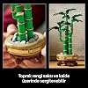 LEGO Botanicals Şans Bambusu 10344 – Yetişkinler için Bambu Sapları, Çakıl Taşları ve Ahşap Efektli Saksı İçeren Sevgililer Günü'ne Özel Dekoratif Bitki Modeli Yapım Seti (325 Parça)