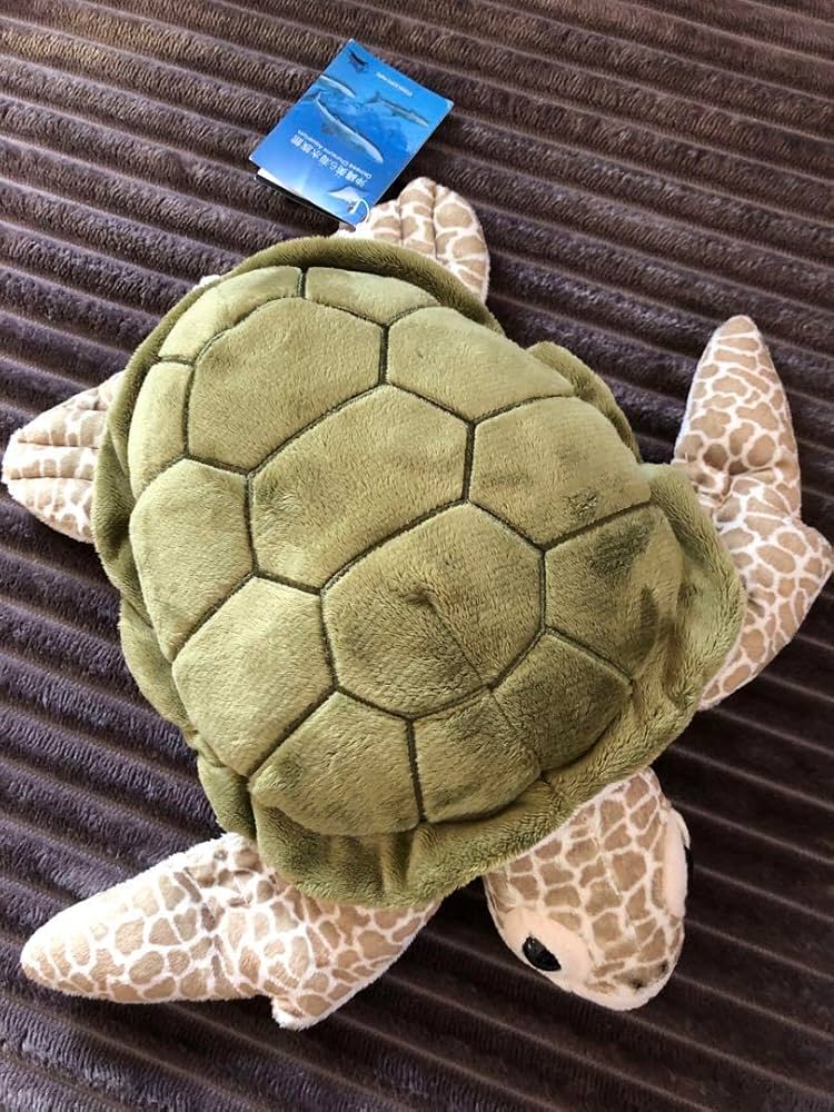 Amazon.co.jp: 沖縄 美ら海水族館 オリジナル アオウミガメ M