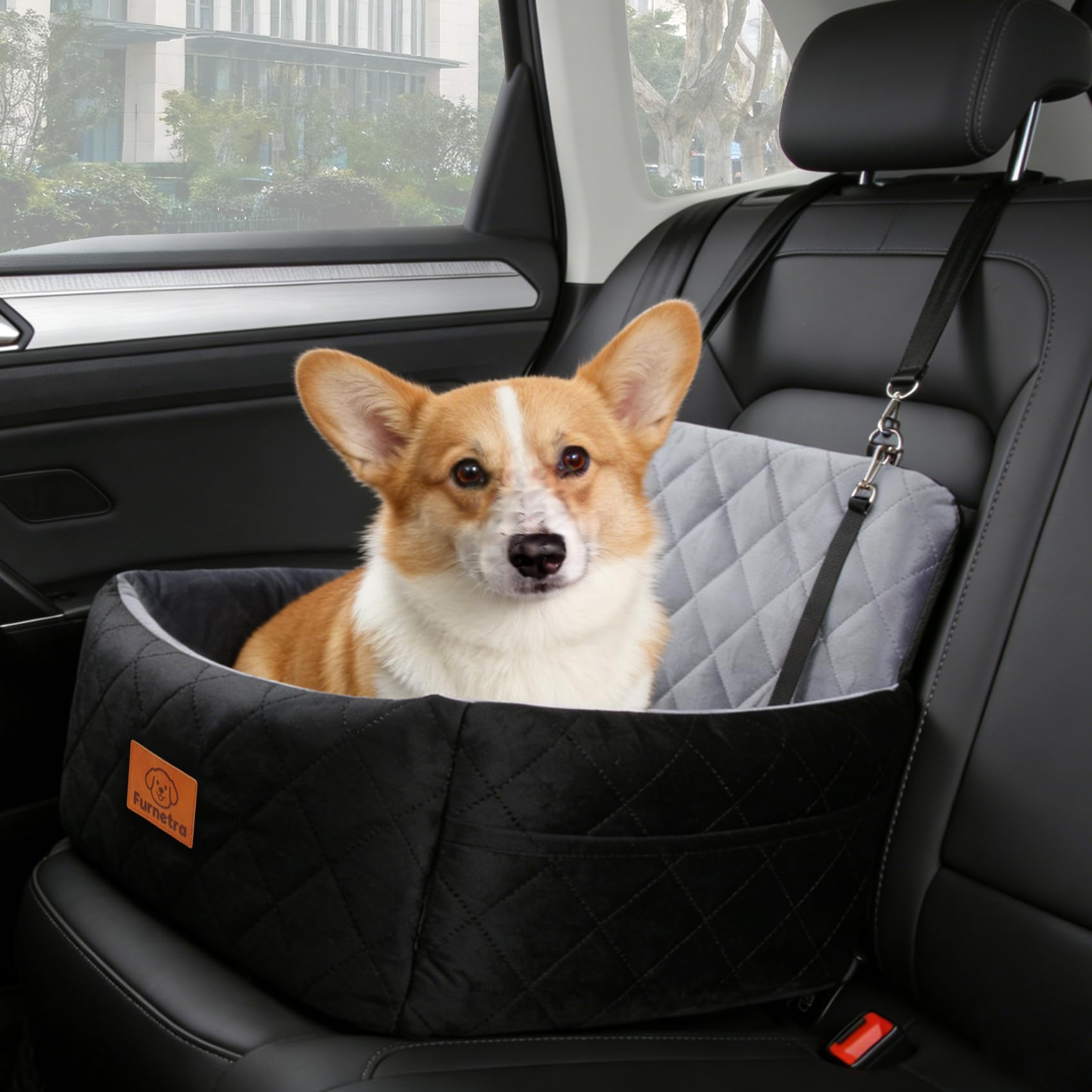 Hunde Autositz für Kleine Hunde, Memory-Schaum Gepolstert, Faltbar & Wasserdicht, für Kleine Hunde bis 12 kg, Abnehmbar & Waschbar, rutschfeste Unterseite