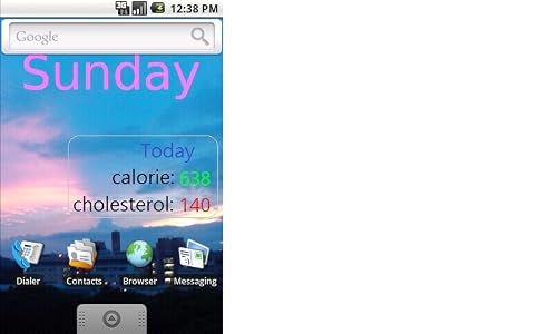 Daily Calorie Record: Calorie tracking Widget: Calorie & Cholesterol intakes today are shown on Home Screen,avoid exceeding unhealthy limit and prevent overweight – vue 3