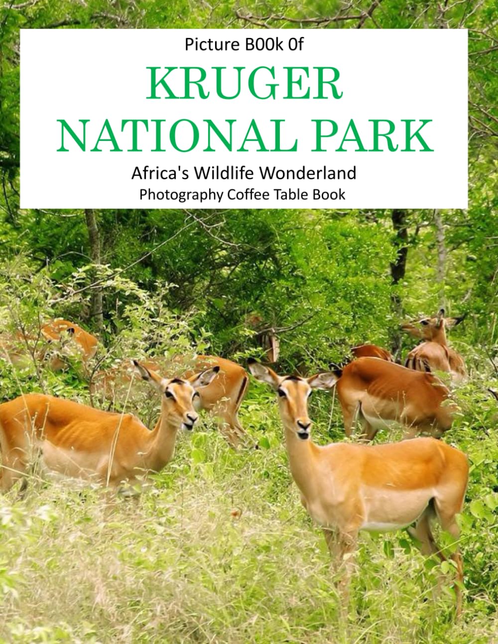 KRUGER NATIONAL PARK: Africa's Wildlife Wonderland