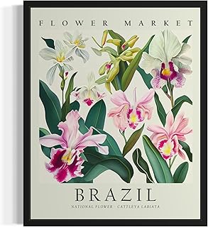 Brazil, Cattleya Labiata Art Print Poster, Flower Market Wall Art, Floral Artwork Decor for Bedroom, Kitchen, Bathroom, Livingroom Decoration 52 (Brazil, Cattleya Labiata, 16 x 20 inches, Unframed)