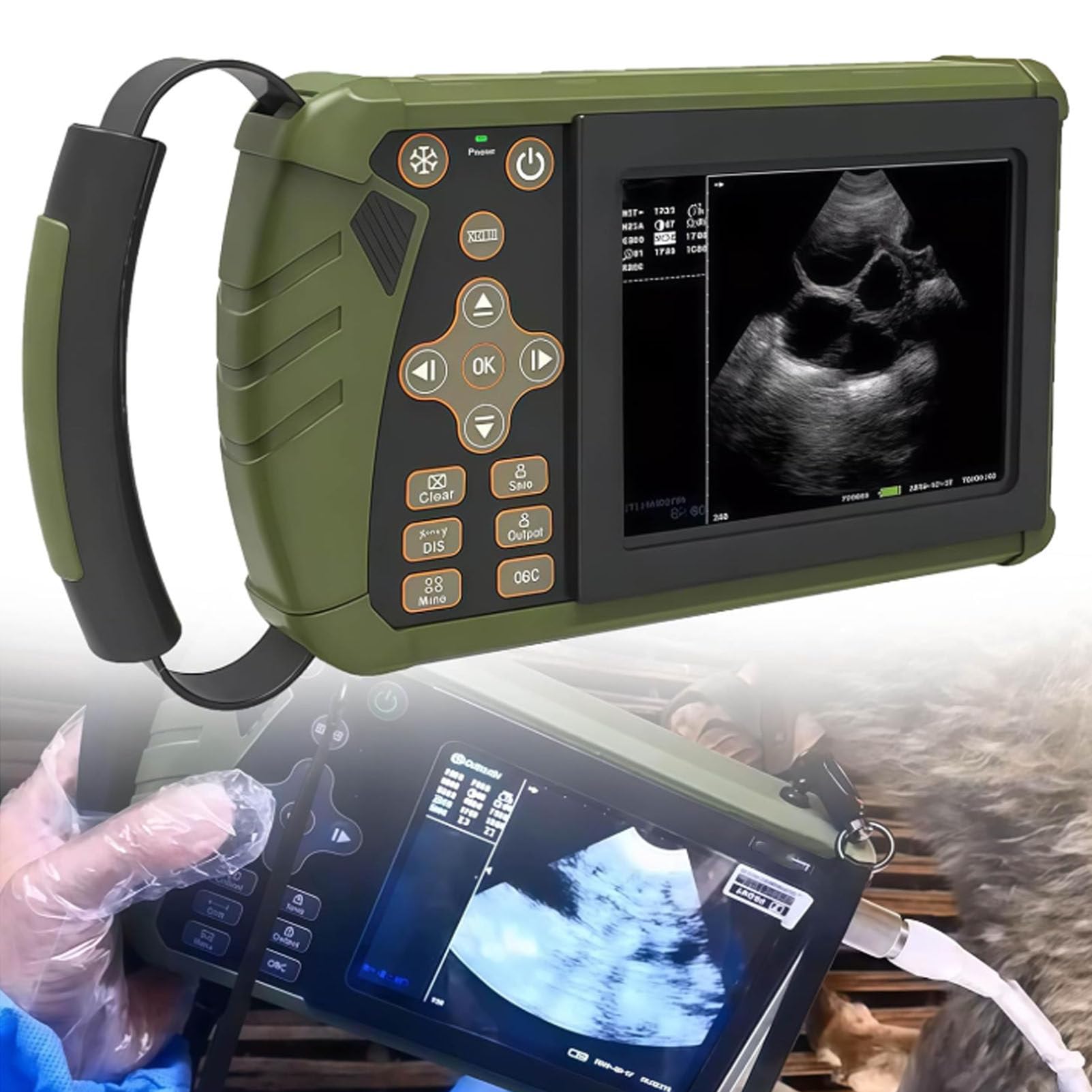 Échographe vétérinaire Portable, sonde 3,5 MHz, écran LED 5,6 Pouces, Images HD, pour la Gestation des porcs, Moutons, Chiens et Chats
