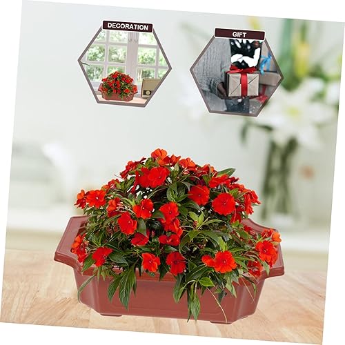 Miniatura 8 de NOLITOY Macetas rectangulares de plástico para interiores Suculentas para interiores, macetas cuadradas de plástico, macetas estrechas y