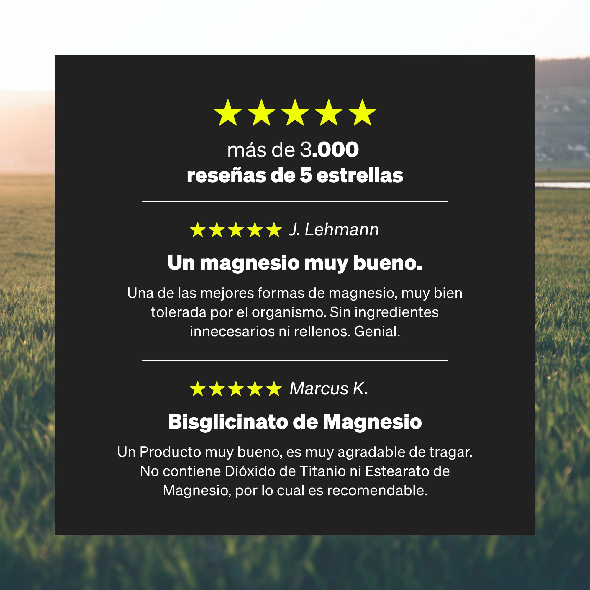 Glicinato de magnesio - 300 mg de magnesium elemental/dosis diaria - suministro para 2 meses con 180 cápsulas - magnesio quelado - inocuo para el estómago, vegano, de alta dosificación