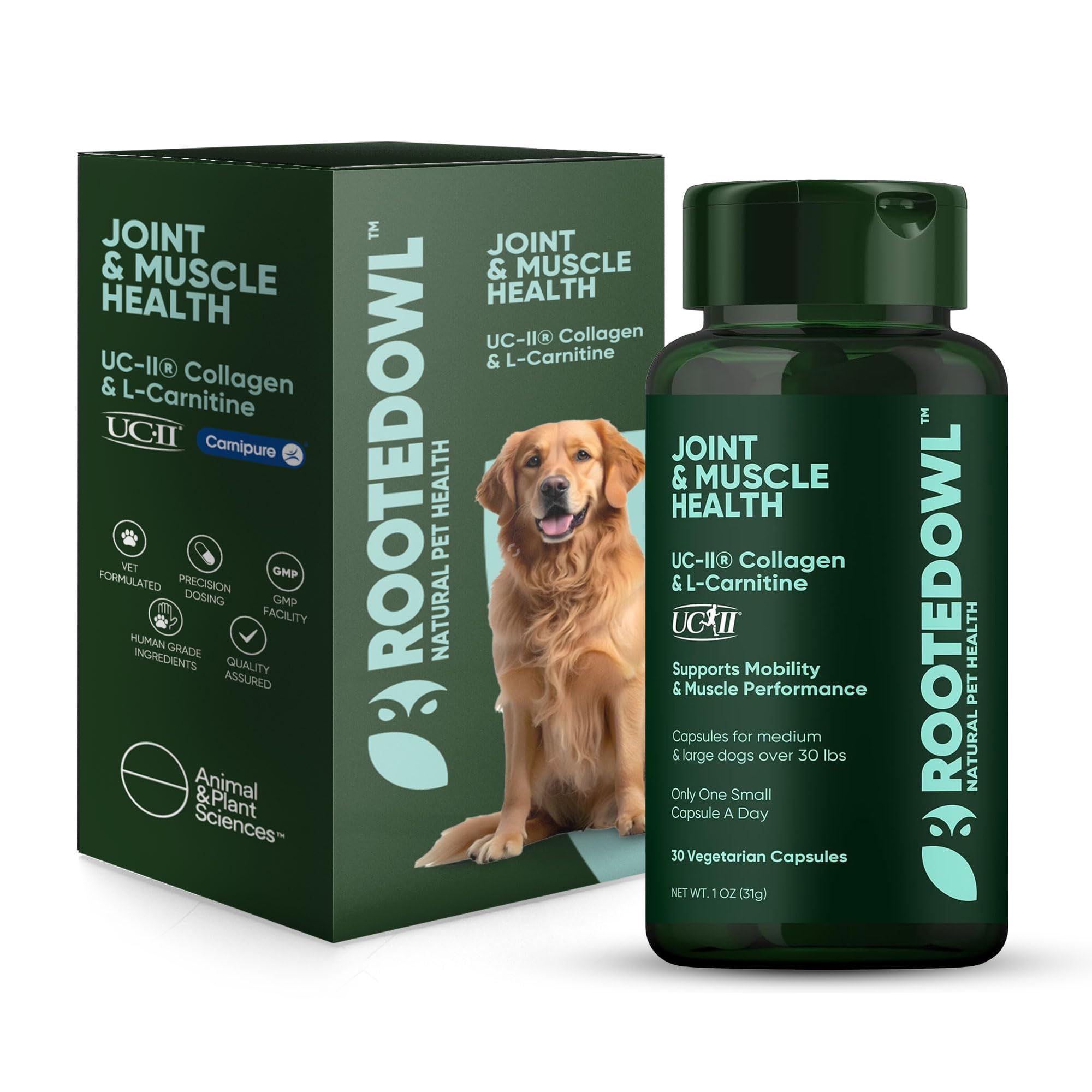 Rooted Owl Joint and Muscle Support for Large Dogs (Over 30 Lbs) - Supplement with UC-II Type II Collagen and L-Carnitine - 30 Count