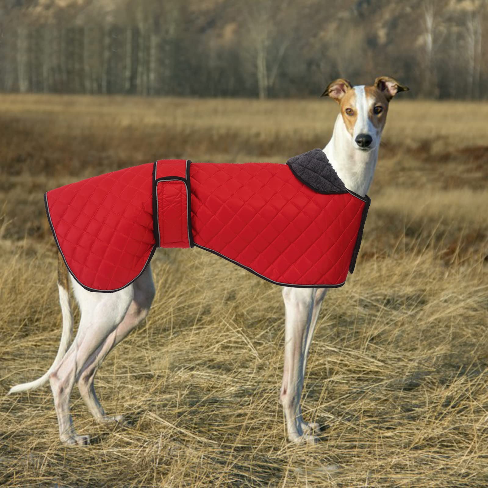 Windhunde-Wintermantel mit Fleecefutter, verstellbare Outdoor-Haustierjacke für mittelgroße oder große Hunde, ideal für Windhunde, Whippets, Lurcher, Salukis - Rot - XXL