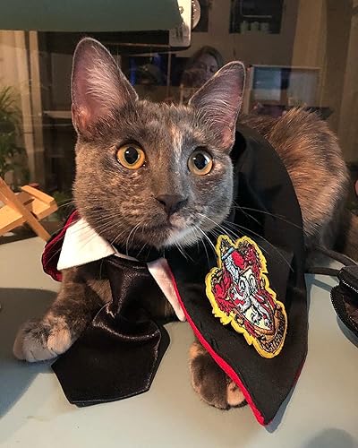 Miniatura 6 de Capa de gato de Halloween con corbata para el cuello, disfraces de gato de Halloween, disfraces de perro pequeño, ropa de Halloween para mascotas,