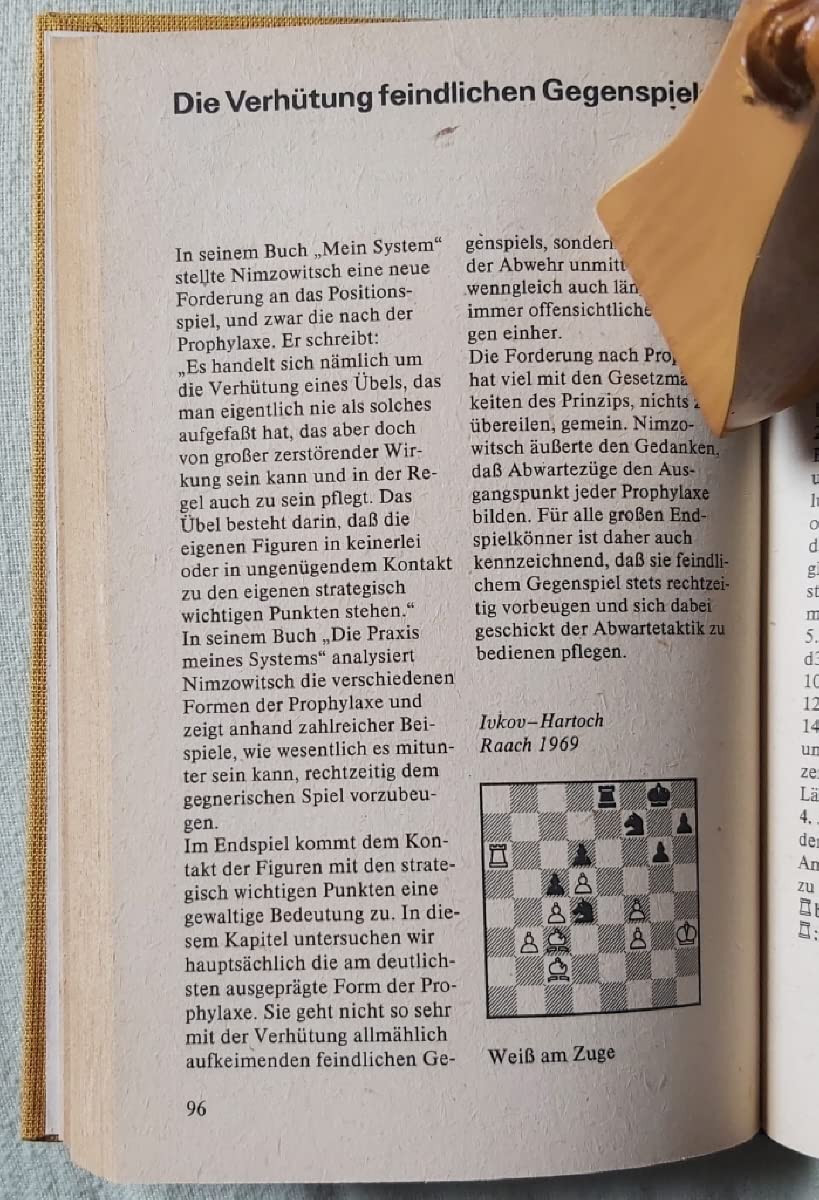 Strategie der Schachendspiele