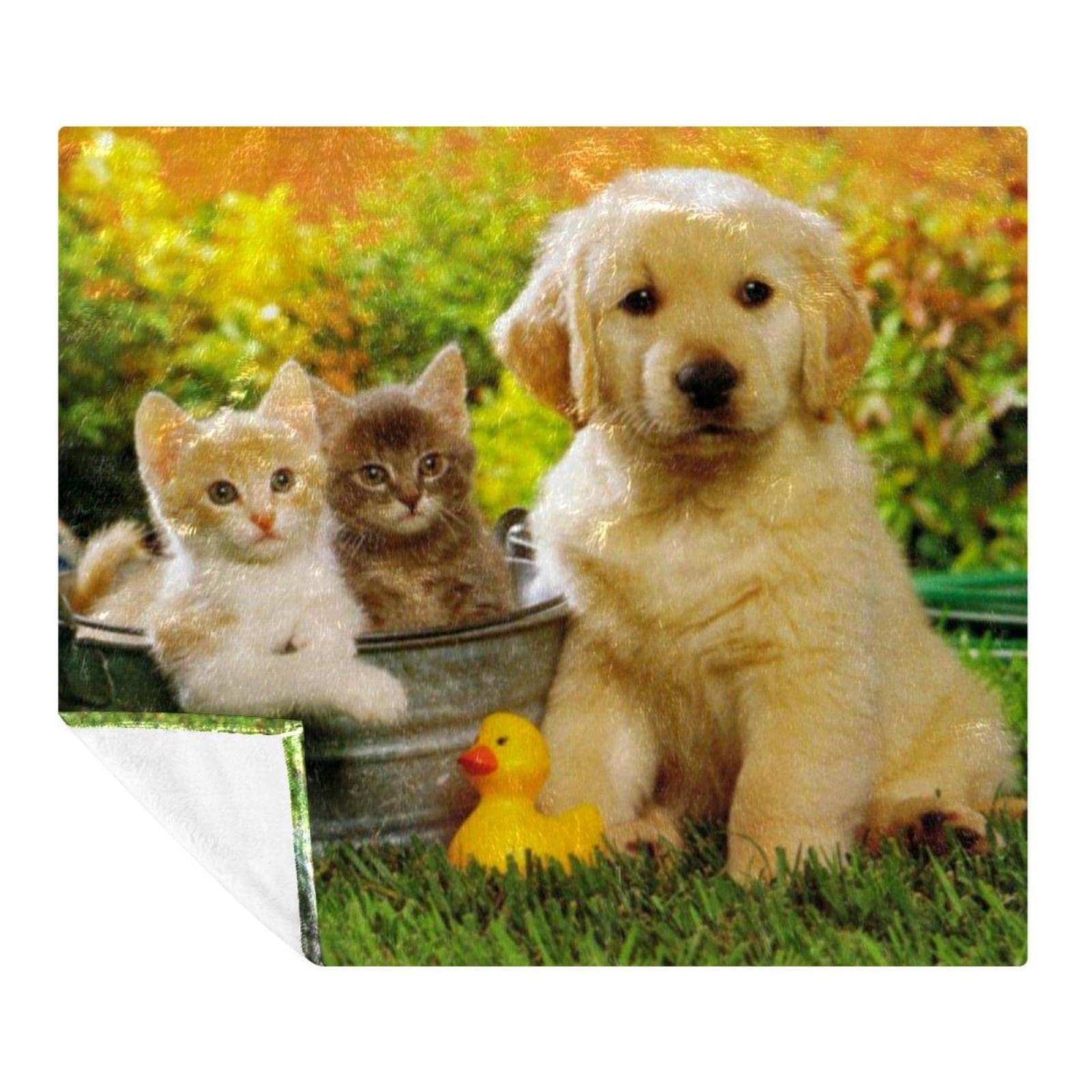 Couverture Polaire de literie douce et chaude pour lit, canapé et animaux TBOUOBT