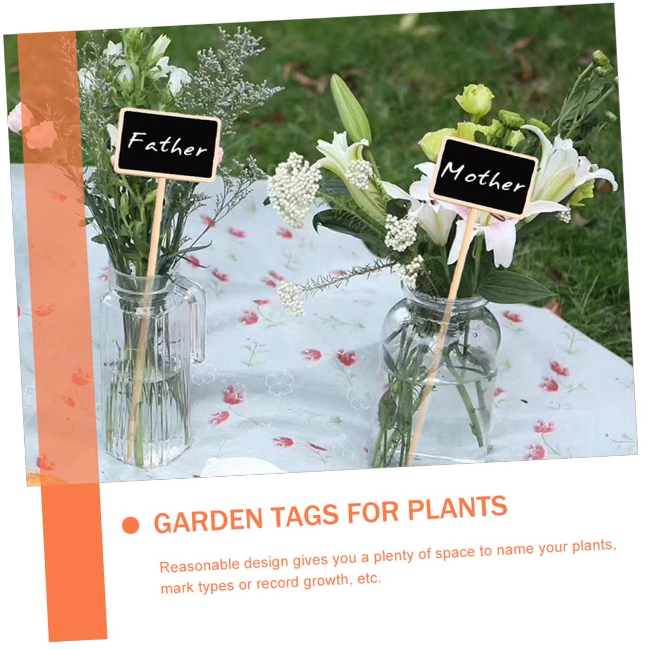 TOYANDONA 3 Ensembles Étiquettes Pour Plantes Lot De Étiquettes Identification Pour Jardin Plantes Pot Fleurs Arbres Fruitiers Résistantes Durables 20 Pièces * 3