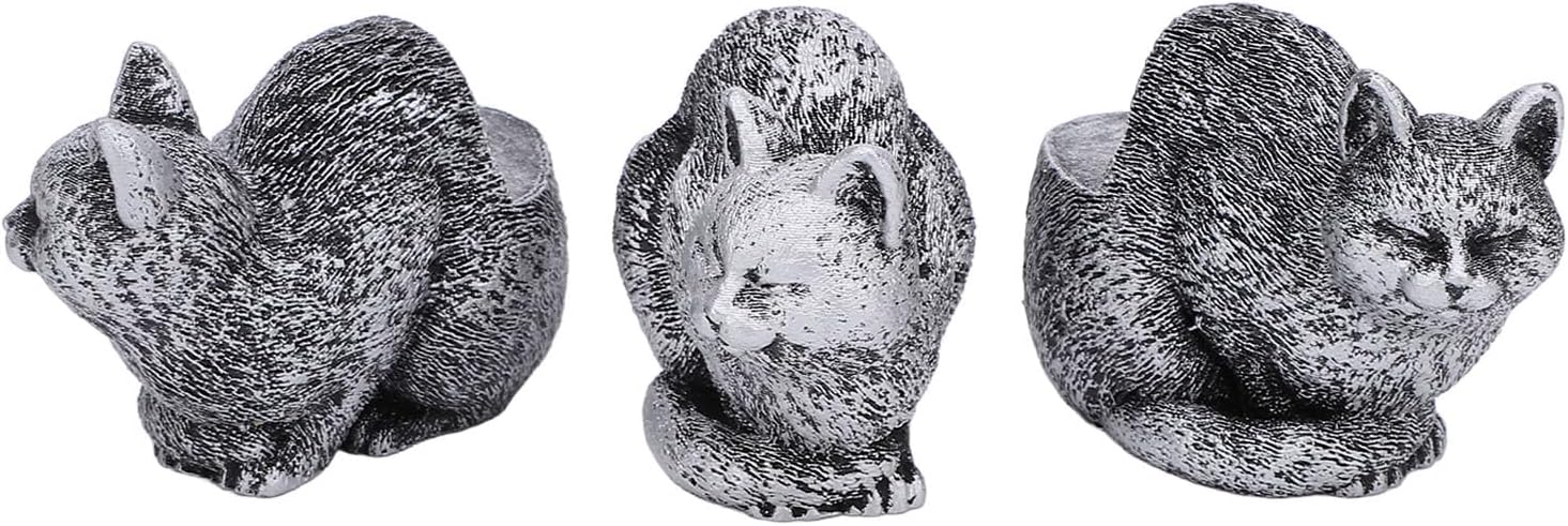 アガベ チタノタ 黒鯨 選抜 ハードウッドプランター SET アガベ