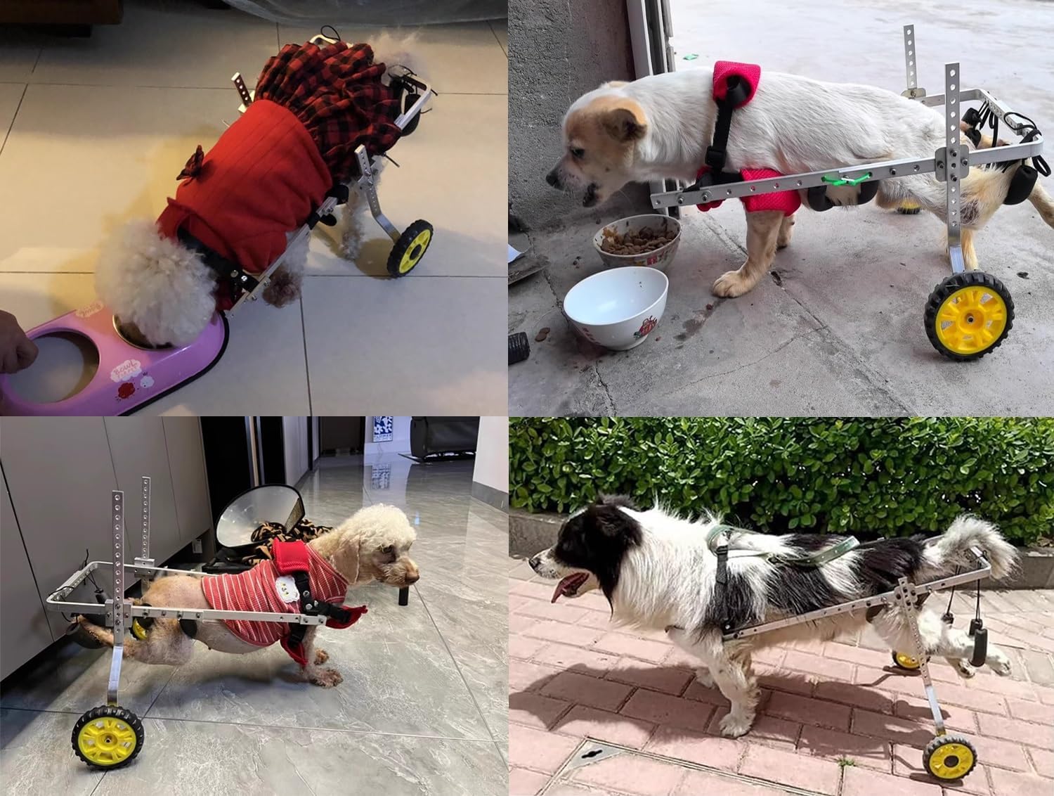 Dog Wheelchair Assist Small Pets Wheel Rolling Support Tools, Mobility Dog Wheelchair for Paralyzed Hind Limbs, Lightweight Doggy Kitten Recovery Carts(XXXS Size)