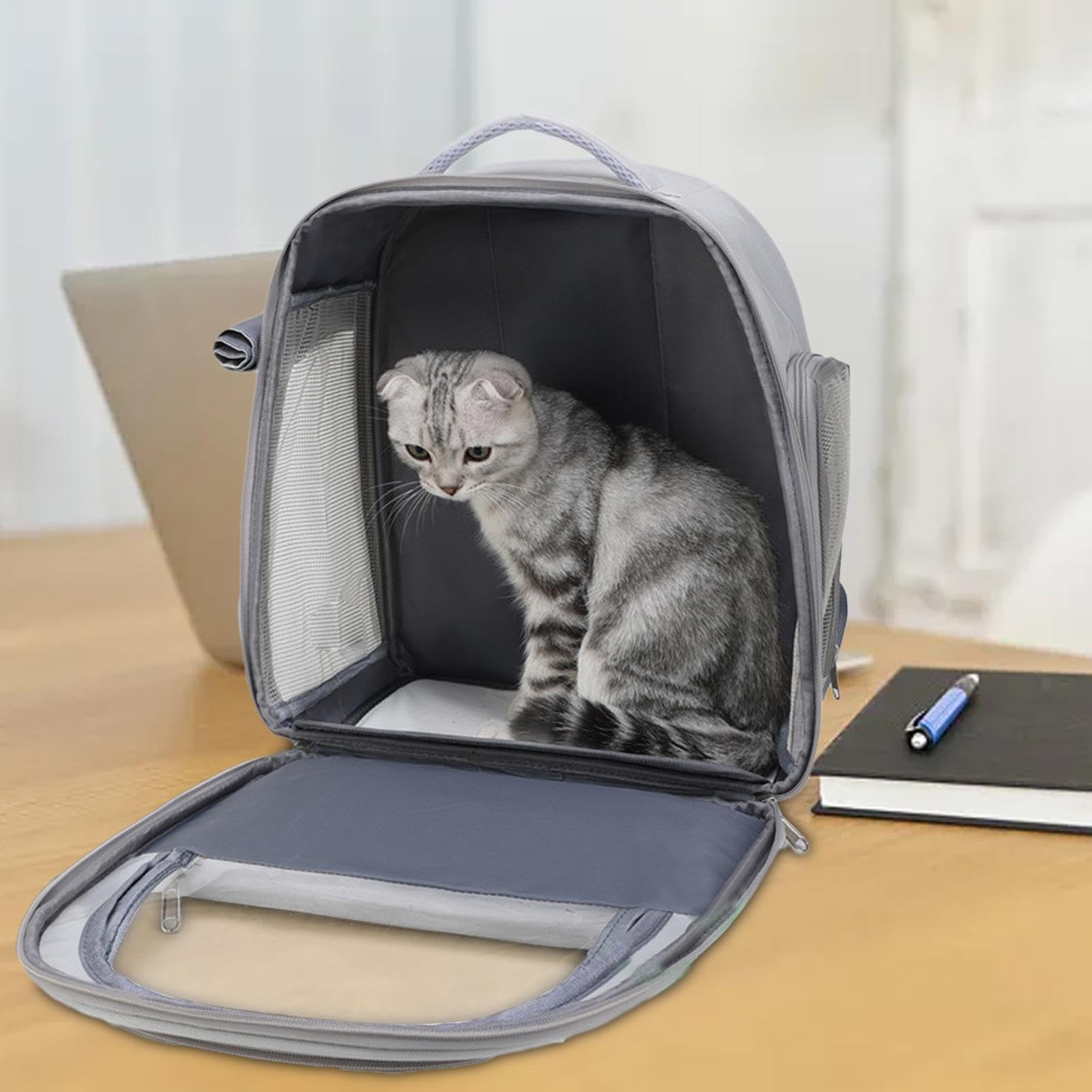 Zaino per gatti, zaino a bolle per animali domestici Zaino porta cani di