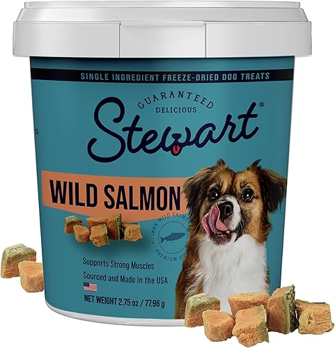 Stewart Golosinas liofilizadas para perros, salmón salvaje, 2.75 onzas, sin granos y sin gluten, tubo resellable, de hígado de res, salmón, hígado