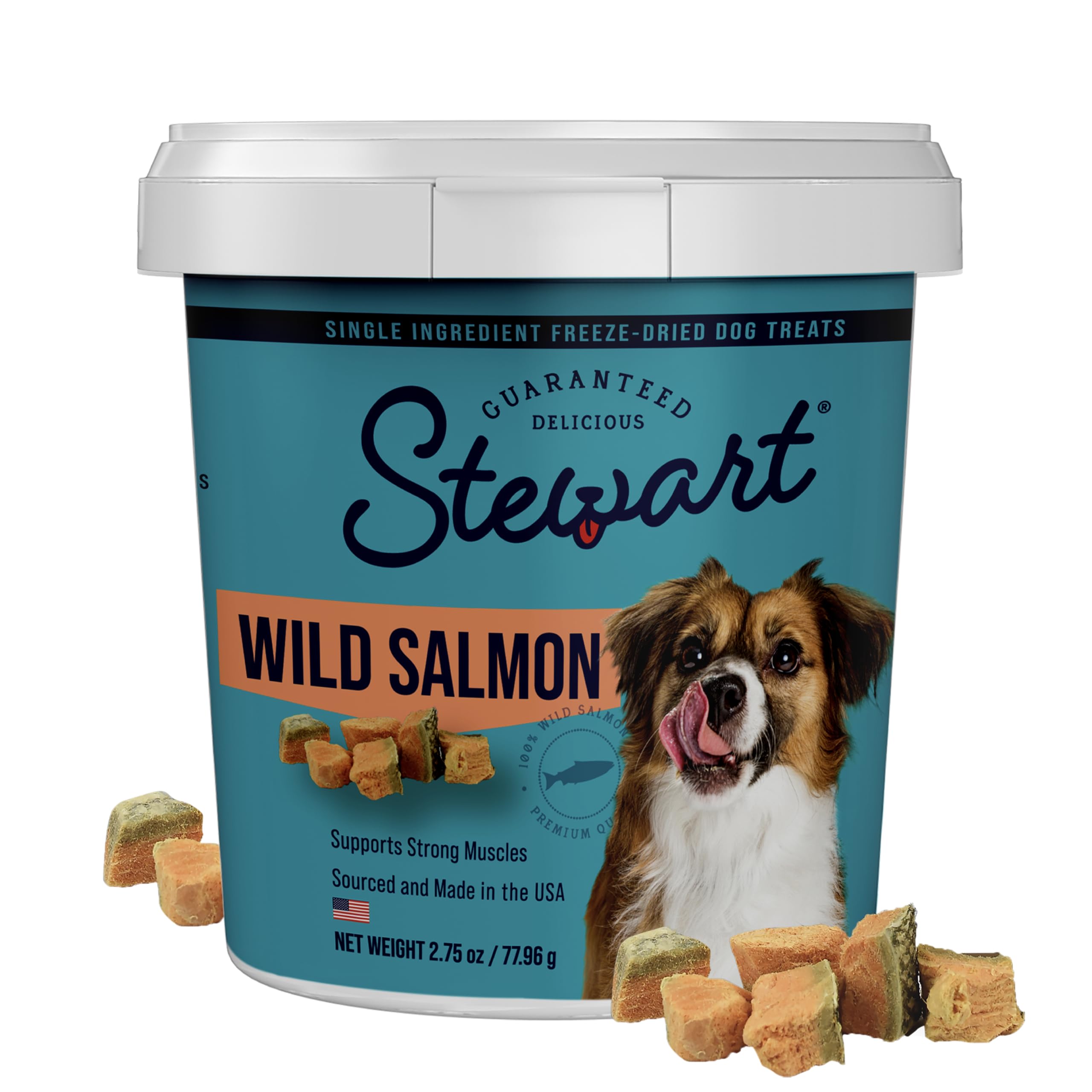 Stewart Freeze Dried Dog Treats, Wild Salmon, Grain Free & Gluten Free, 2.75 Ounce Resealable Tub, Single Ingredient, Made in USA, Dog Training Treats