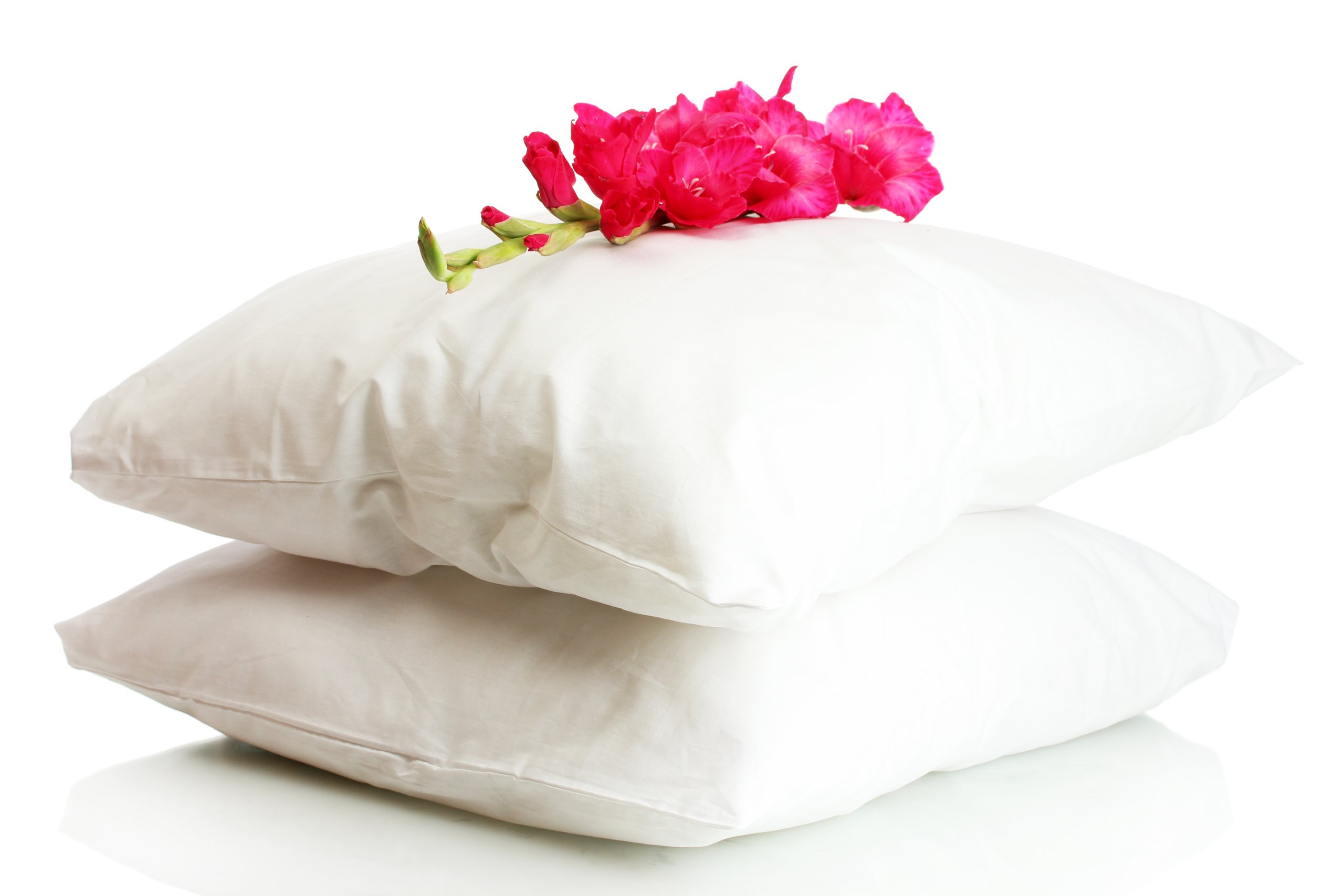 SleepyNights 18" X 18" / 45 x 45cm Cushion Inners Pads Fillers Square Insert Filled With Plump Fibres : Pack of 6