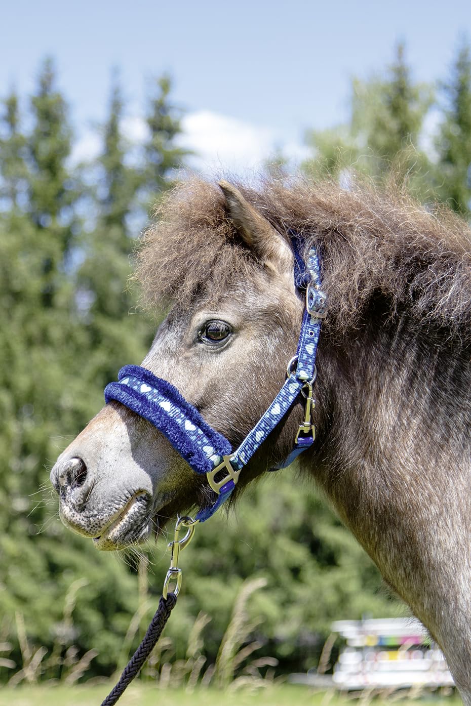 HKM Heart Headcollar, Wine Red, Pony Size - Image 2