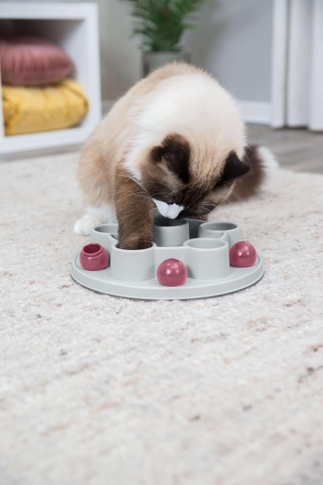 TRIXIE Cat Activity Pentagon