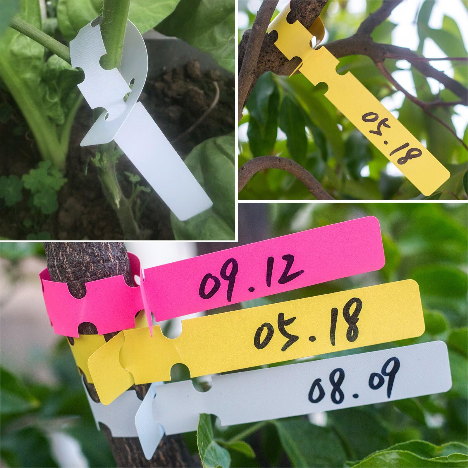 240 Stück Pflanzenschilder Garten - Wetterfeste Pflanzenetiketten Mit Stift