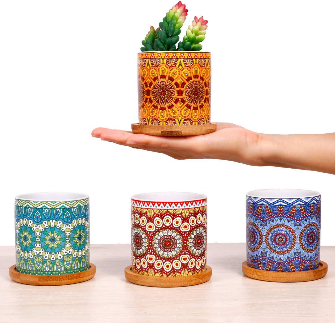 4 pcs 3.0 inches Ceramic Succulent Planters - with Bamboo Trays, Small Plant/Cactus/Bonsai/Flower Container Pots Gift with a Drainage Hole for Windowsill and Office Table Home Decor