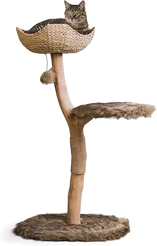 MAU LIFESTYLE - Torre de árbol de madera para gatos, moderno condominio para gatos de una sola rama, árbol de madera para gatos, escalada para