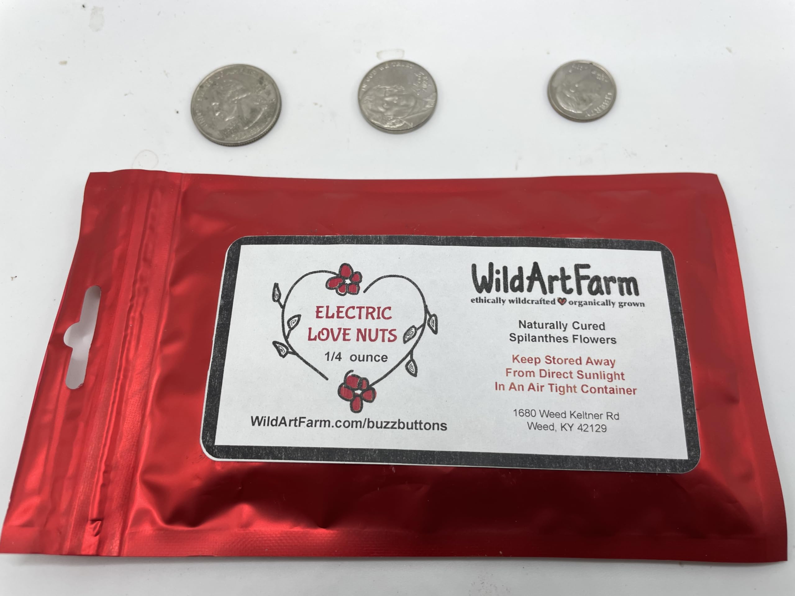 Buzz Buttons aka Spilanthes, Holiday Themed, Naturally Cured, SMALL size Edible Flower Gifts (1/4 oz Love Nuts)