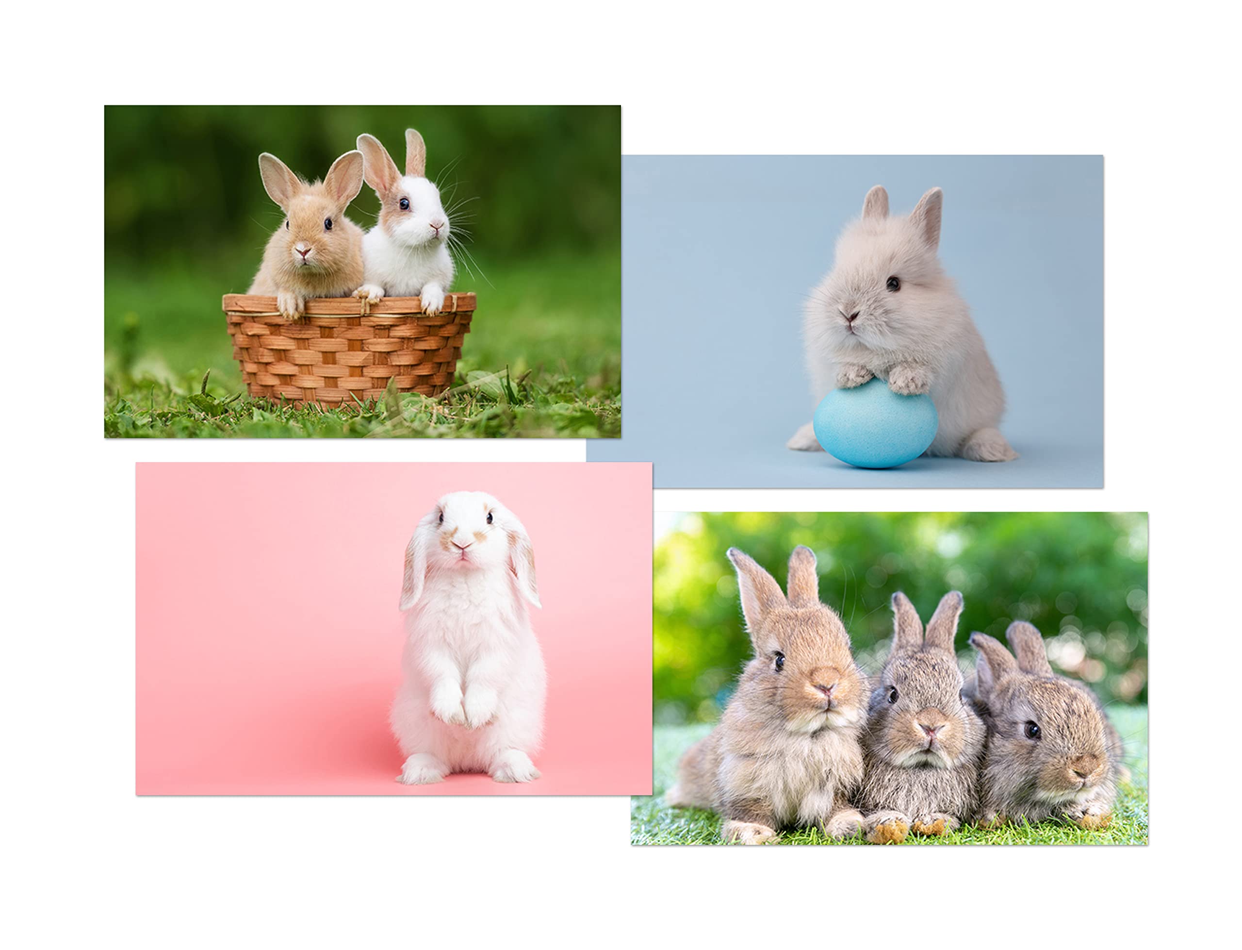 DV DESIGN Set of 4 Rabbit White Ballpoint Pens - Bunny Easter Fluffy Cute Animals Pets Friends Boys Girls Men Women Theme Pen #79350 - Image 2
