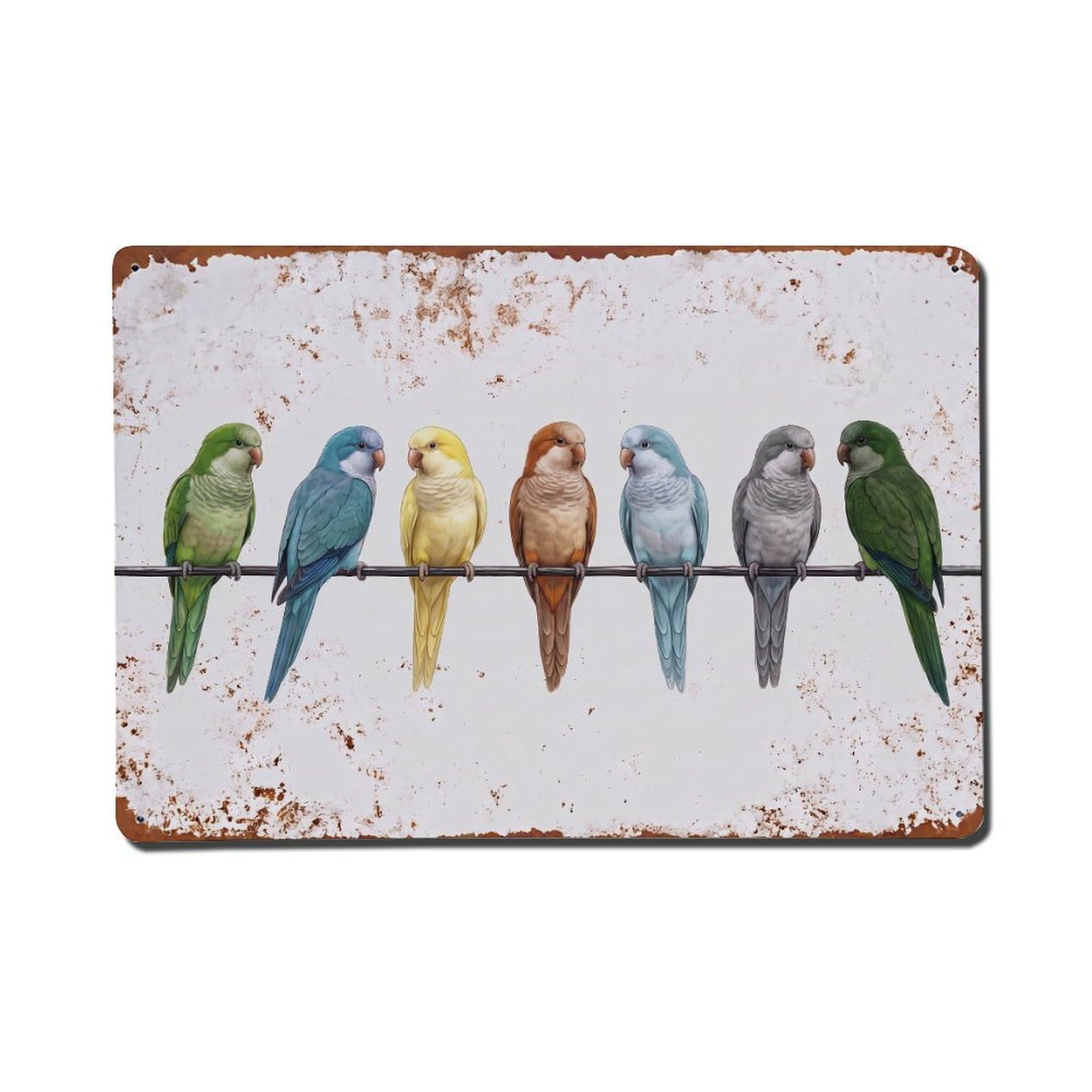 Vintage Retro Birds Quaker Parrot Metal Tin Sign