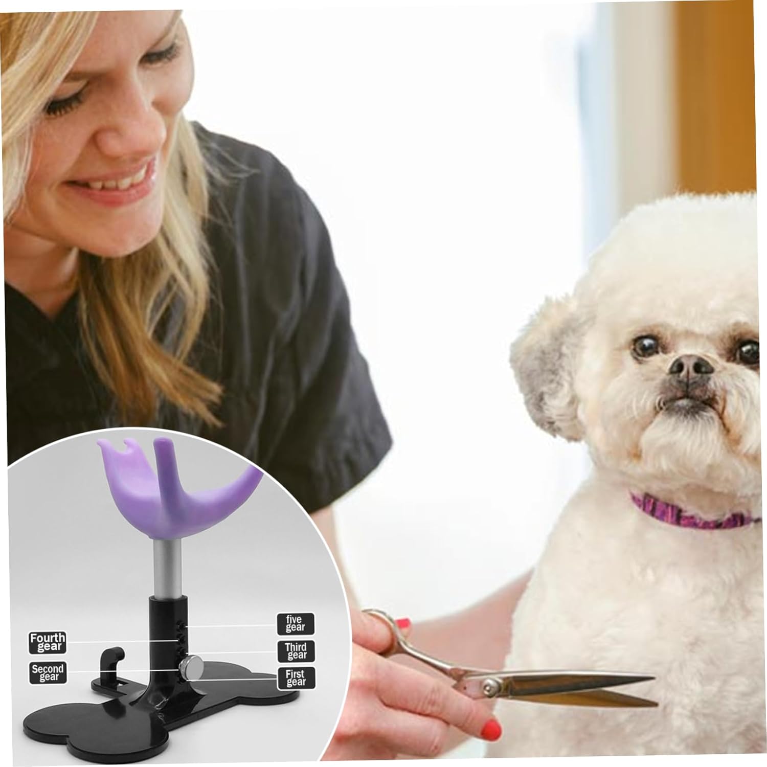 Dog Grooming Stand 5.7"-7.3" Adjustable Dog Stand for Grooming Keeps Pet Standing Up for Bathing Trimming, Purple, Claw Care