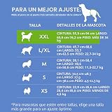 Ver la foto 4
