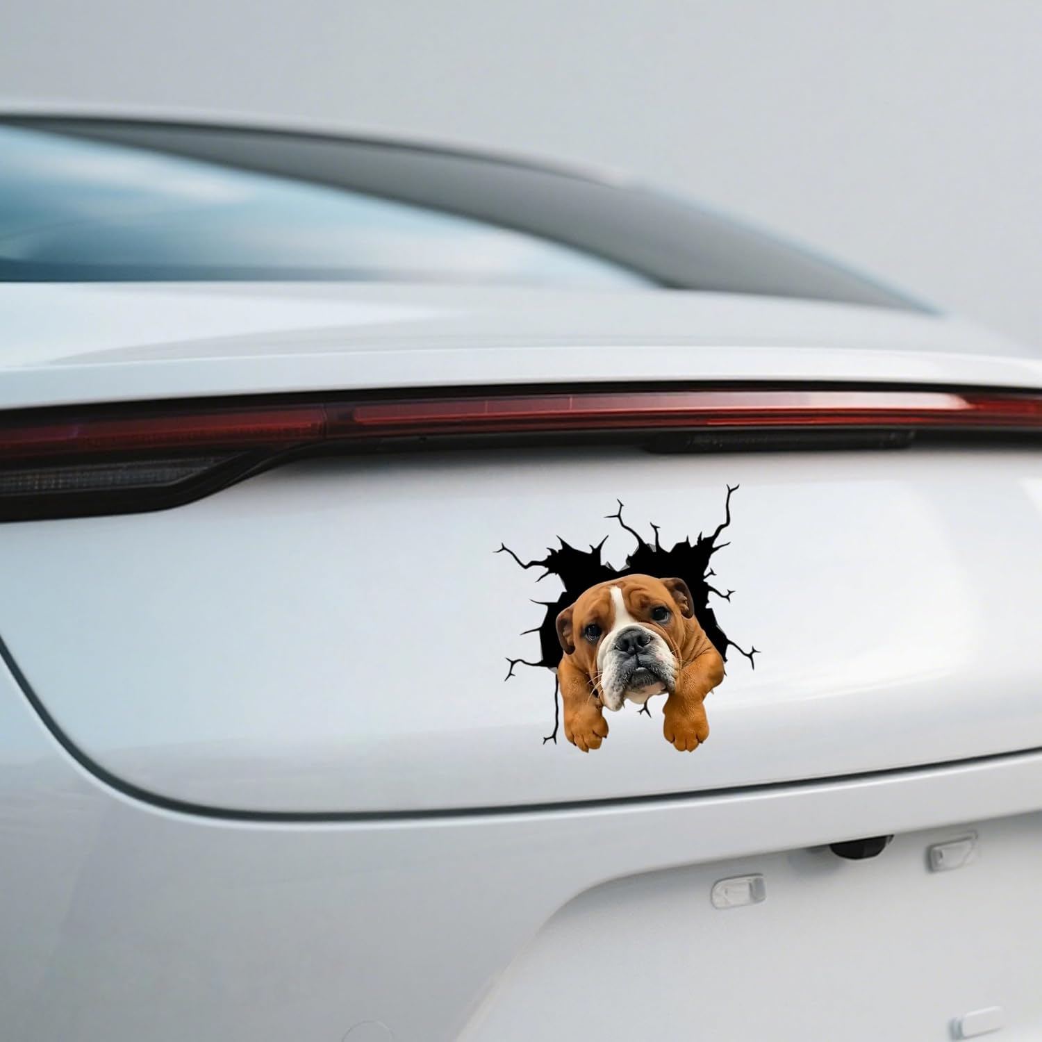 Waterproof English Bulldog Car Stickers – Glossy Vinyl car Decals, Durable Bumper Stickers and Decals for Vehicles for Cars, SUVs, Motorcycles, Laptops, Suitcases, Tablets, 2 Pack image 4