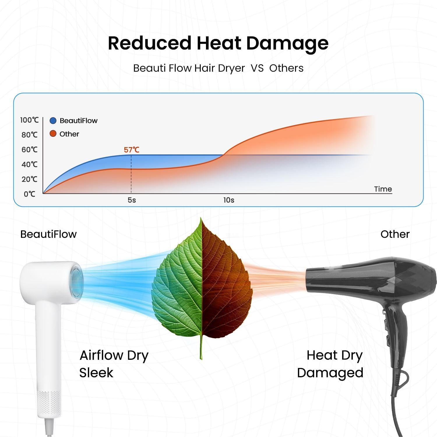 BeautiFlow Ionic Hair Dryer, 110,000 RPM Brushless Motor with Diffuser