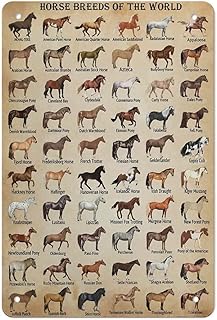 Vintage Tin Sign Art Horse Knowledge Metal Poster Horse Metal Tin Signs Horse Breeds of The World Funny Poster Retro Metal Logo Poster Home Kitchen Bar Cafe Bathroom Wall Decor Gifts 8x12 inch