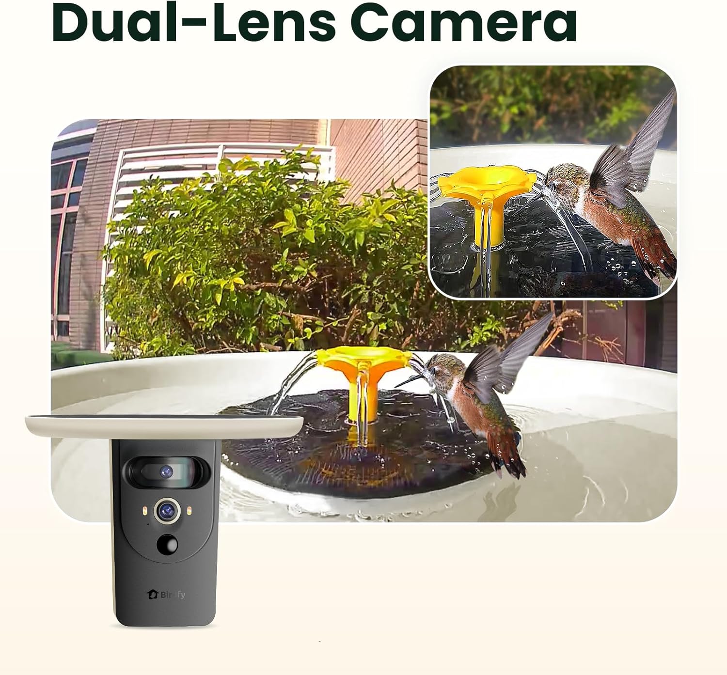 https://m.media-amazon.com/images/I/71H3WlnijfL._AC_SL1500_.jpg