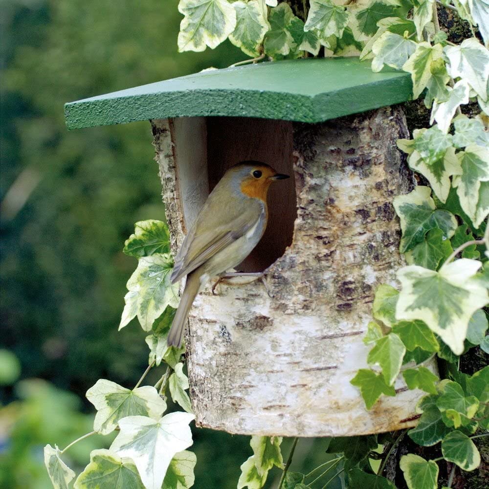 View 2
