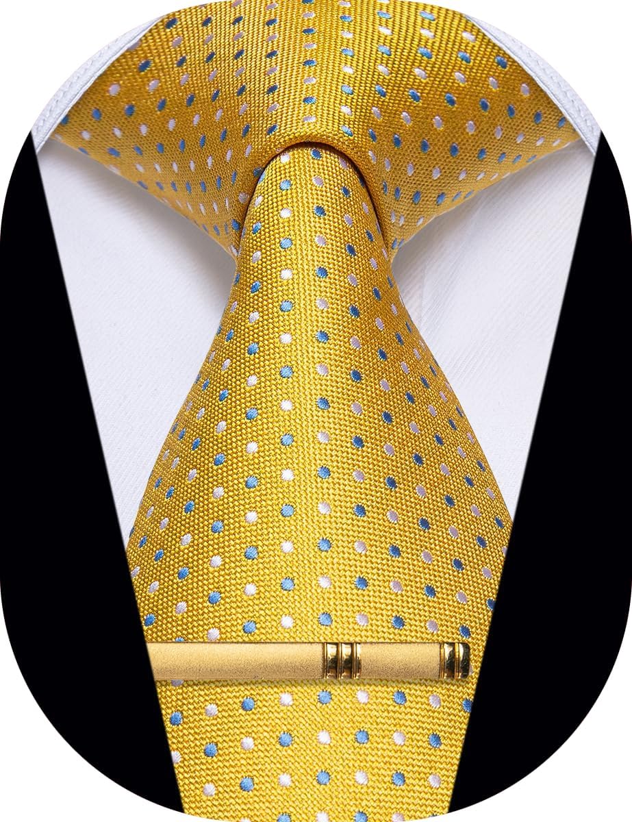 Men's Neckties Striped Tie and Plaid Neckties for Men Woven Silk Tie Gold Tie Clip Set